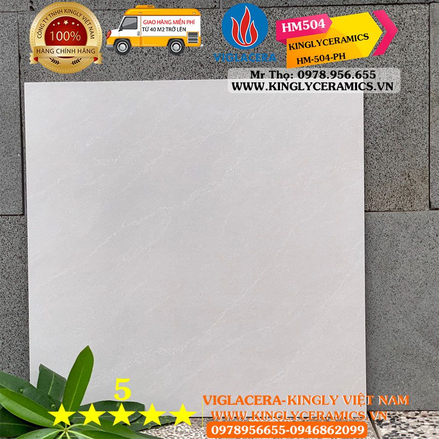 Gạch Viglacera 50x50 HM504